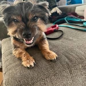 Meet your Posher, Mike